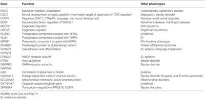 Autism Spectrum Disorders and Schizophrenia Spectrum Disorders: Excitation/Inhibition Imbalance and Developmental Trajectories